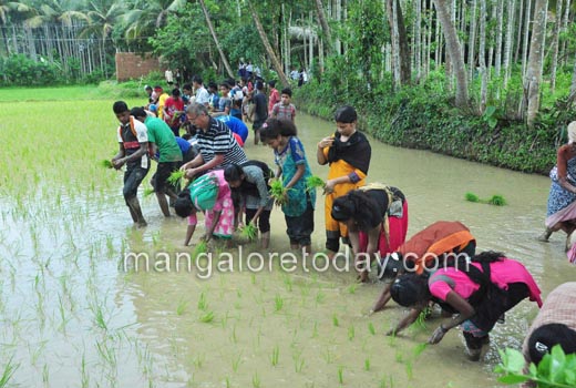 Students get a feel of farm activity; take part in Neji Naati at Konaje